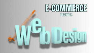 e commerce web design package