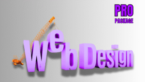 pro web design package