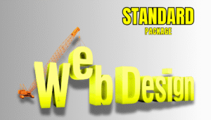 standard web design package