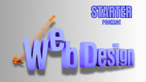 starter web design package